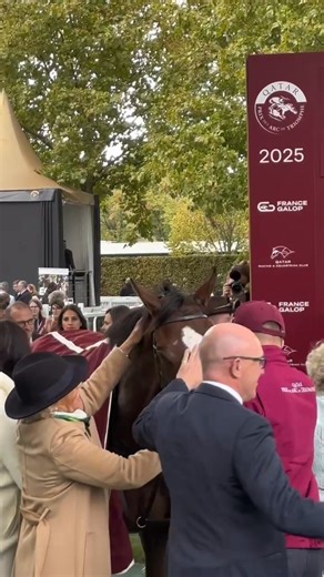 A whole load of love for our very special horses ❤️ | Horse Racing Ireland