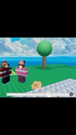 THEY types of players STINK OF POO #roblox #animation