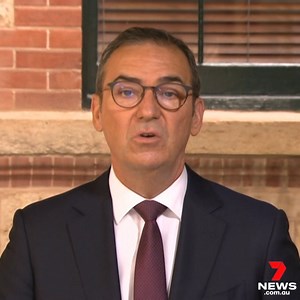 Premier Steven Marshall has attempted to clear confusion over the new definition of COVID-positive that will aim to reduce lines for PCR tests. From next week, close contacts of positive cases will be required to notify SA Health to receive a QR code, and will then need to attend a specialised site to collect two rapid antigen tests. The results of the tests will then need to be entered into the SA Pathology website. Victoria is now counting positive rapid antigen test results among their daily 