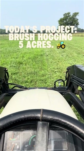 Brush Hogging 5 Acres | Big Brush, Big Job 🚜
