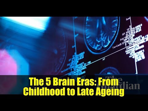 The 5 Brain Eras: From Childhood to Late Ageing | Science Explained