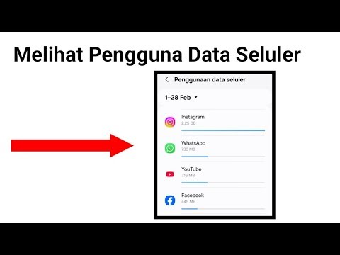How to View Cellular Data Usage on Your Phone