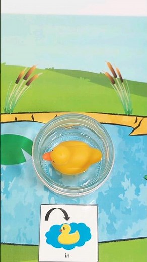 Learn Prepositions & Positional Words