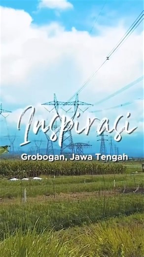 Ternak sapi potong #ternaksapi #peternakansapi #peternaksapi