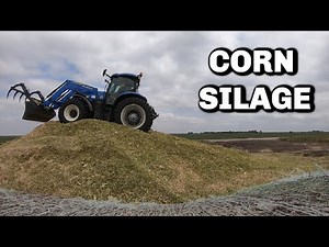 Packing Corn Silage!