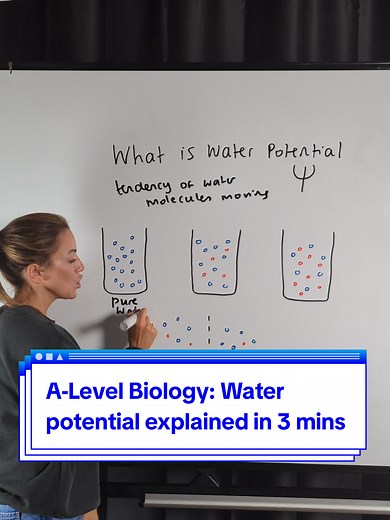 Understanding Water Potential in A-Level Biology