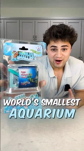 I Bought WORLDS Smallest Aquarium!! 😱 #shorts #smallestaquarium #aquarium #worldssmallest