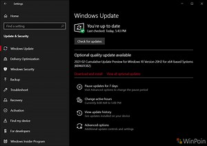 Microsoft Rilis Optional Update KB4601382 Untuk Windows 10 2004 dan 20H2