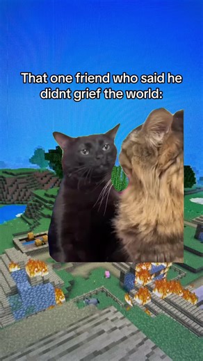 🏡💀🔥#minecraft #foryoupage #minecraftmemes