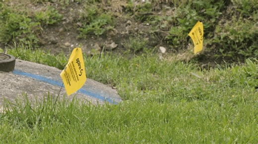 Utility flags warn lawn care enthusiasts of potential hazards
