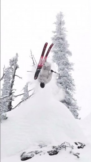 This Is What Powder Dreams Are Made Of ❄️