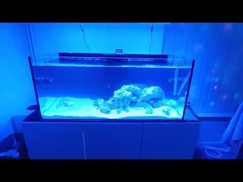 Red Sea Reefer 525XL update!!!