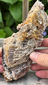 2.2K views · 5.9K reactions | This Ancient Coral Head’s from a reef that existed millions of years ago 視 #crystals #rocks #minerals #coral #geology #fossils #agate #geode | CoralGeodes | Facebook