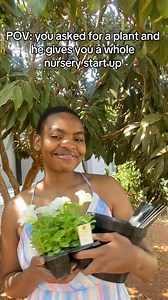 I received some poppy seedlings ,now I am a mom of 6 poppy plants. The most refreshing feeling ever but because I am me the business is officially open. #villagelifestyle #villagelife #nursery | Amanda Murungi