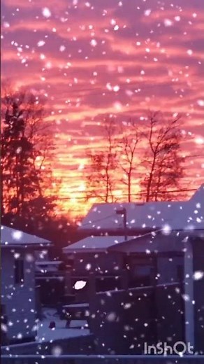 Dreamy Sunset with Falling Snow | Winter Beauty