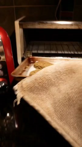 Happy birthday to my bunny! #fyp #foryoupage #birthday #bunny #rabb