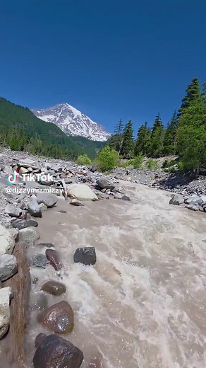 Discover the Beauty of Mount Rainier National Park