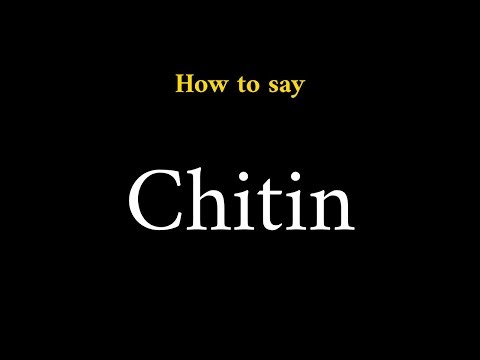 How to Pronounce Chitin (Biological Term)