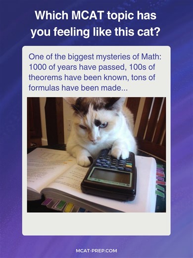The math just isn’t mathing at 5 PM on an MCAT practice test day. 💀 If the Chem/Phys section has you feeling like this cat, our Free Science Summaries are a literal cheat code. 🧬✨ Link in bio! #mcat #premed #mcatpreparation #medschool #studyhacks #premedlife #mcat2026 #physics