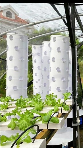 Vertical Tower Growing System | Commercial Hydroponic Agriculture Project #hydroponics