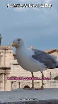 【音響の妙技】マヤ文明のピラミッドが隠す鶏の鳴き声を響かせる精緻な石積みの謎