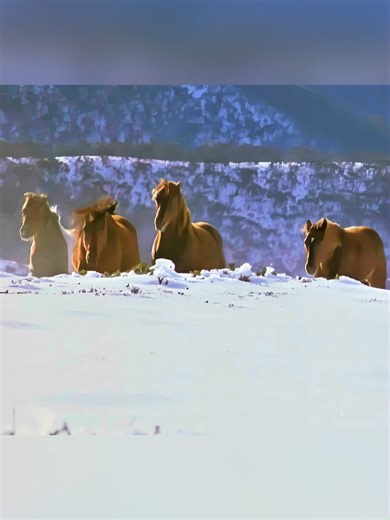 When the dog's friend came from the sky!🥶part 2#movie #movieclips #moviescene #movierecap #movieexplained