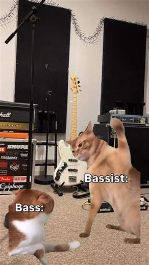 Koen Vroom on Instagram: "SLAPP 😤 #bass #slap #meme"