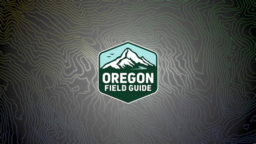 3.5K views · 78 reactions | We're thrilled to bring you a new season of "Oregon Field Guide" starting October 3! Catch full episodes on broadcast and watch.opb.org, and individual stories on YouTube (schedule varies). This week, we dive with the "Loot the Deschutes" team as they find and return lost 'treasure' to their owners. Here's a peek: | Oregon Field Guide | Facebook