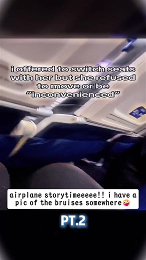 airplane storytimeeeee!! i have a pic of the bruises somewhere🤪 #airplanestorytime #airplanehorrorstory #sarahfrank #sarahbefrank #airplanethings
