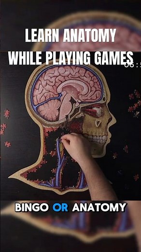 Learn anatomy and physiology by playing games