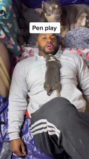 Understanding Dog Behavior and Care | Tips for Puppy Owners