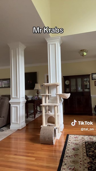 Spongebob Faces a Huge Crisis in this Hilarious Comedy Sketch