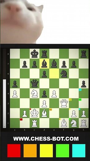 How they cheat on chess.com (wow!)