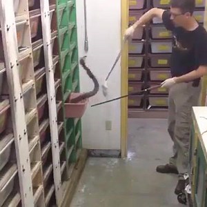 1.2K views · 12 shares | This is a challenging job. | Pest Control in a Box | Facebook