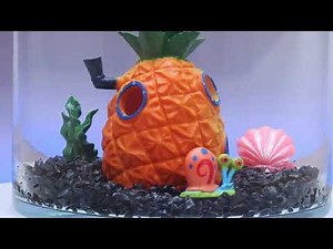 I Made SpongeBob's House for💲10