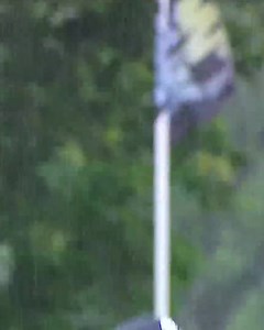 6.5K reactions · 217 shares | LIV Golf Bedminster is LIVE watch now on LIV Golf Plus | LIV Golf | Facebook