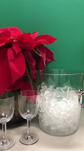 22 reactions · 32 comments | ❄️12 DAYS OF CAMBRO❄️ On the first day of Cambro my favorite brand gave to me, a bucket to hold my wine while I eat brie 燎⁣⁣ Prize: 1 durable, Cambro bucket to chill wine or champagne⁣⁣ To Enter: ❤️Like this photo Comment a friend to share a drink with. Winner chosen tomorrow at 10am PST.BONUS! Play the #12DaysofCambro on Instagram too! Double your chances to win by following @cambromfg on Instagram. | Cambro Manufacturing | Facebook