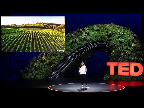 The Hidden Wonders of Soil | Jane Zelikova | TED