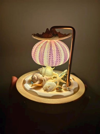Handmade Sea Urchin Shell Lamp, Coastal Night Light With Starfish & Seashells, Nautical Table Decor, Beach Themed Lamp for Bedroom - Etsy
