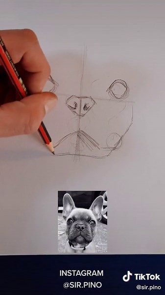 Tutorial de dibujo de un beagle a lápiz en 5 minutos | Sir Pino
