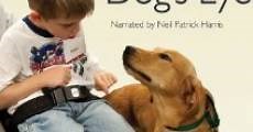 Through a Dog's Eyes (2010) Online - Película Completa en Español - FULLTV