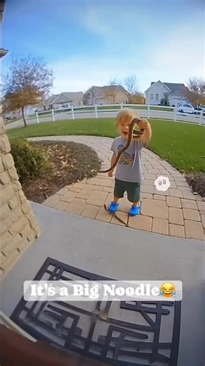 Funny reels 13 #funny #funnyshorts #foryou #shorts