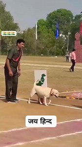 1.9M views · 163K reactions | Dog training indian army #army #reels #reelsinstagram #instagram #instadaily #instagood #instalike #foryou #trending #india #indian #indianarmy #indialove #foji #runing #1600m #fitness #fit #gym #gymmotivation #desi #workout #run #viral #world #athlete #fecebook #boy #commandoLife | Army Lover Club | Facebook