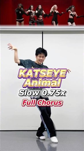 KATSEYE "Animal" Dance Tutorial Full Chorus Slow【0.75x Mirror】#Shorts