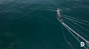 725K views · 7.8K reactions | Bullseye!  Tyler perfectly harpoons a massive bluefin tuna on the first try  Don't miss an all-new #HarpoonHunters tonight at 9p on Discovery! | Discovery | Facebook