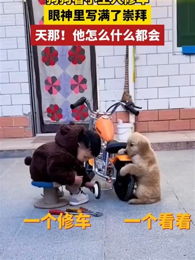 FDownloader.Net_AQNokUHsOB-1m-kKLxozhC_jUVuKjYMf2j2JuaV2rX6BzLSXUGRuXarsSfXqMkrtGWEyJ0Y11e-7AgXb8GTwjgfX_720p_(HD)