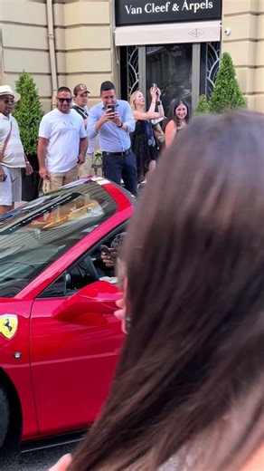 Luxury Lifestyle of Millionaire Dogs in Monaco