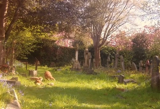 One of the best videos I've ever seen ♡ | 𝖭𝖺𝗍𝗎𝗋𝖾𝖧𝗎𝖻