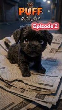 🐶 Puff Episode 2 | Cute Naughty Puppy New Adventure ❤️