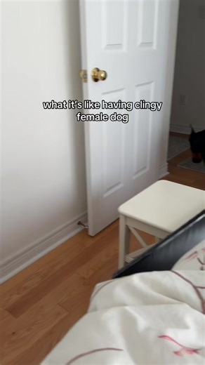 What It’s Like Having a Clingy Female Dog